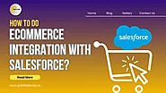 How to do Ecommerce Integration with Salesforce? Great Lakes