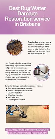 Best Rug Water Damage Restoration service in Brisbane