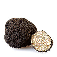 Buy | fresh Summer italian Truffles best prices | shop Tita Italian - Tita italian