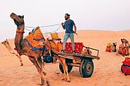 Come Visit the best Desert Camel Safari Jaisalmer - Book Now