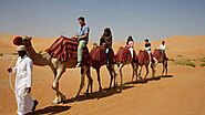 Abu dhabi camel ride