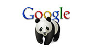 GOOGLE PANDA 4.2 UPDATE IS BEING RELEASED WORLDWIDE