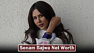 Sonam Bajwa Net Worth (February 2024)