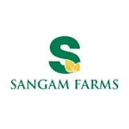 Managed Farmland near Bangalore: Invest Wisely Today