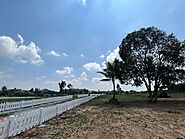 Prime Land: Farm Plots Near Bangalore - Vasudha Kalpataru