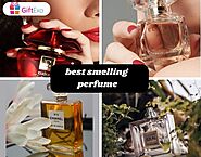 Best smelling Perfume for Office Wearing for women and men | HubPages