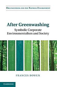 After Greenwashing: Symbolic Corporate Environmentalism and Society (Organizations and the Natural Environment)