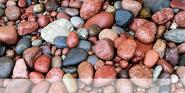 Free Images - Free Photos - Royalty Free Photos - Free Stock Photos - ImageFree.com