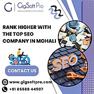 Rank Higher with the Top SEO Company in Mohali