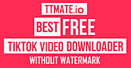 TikTok downloader for saving trendy watermark free TikToks