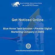 Get Noticed Online: Blue Horse Tech Solution - Premier Digital Marketing Company in Delhi