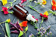 Let’s Know About The Healing Power of Flower Essences