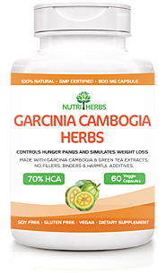 Garcinia Cambogia Herbs