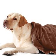 Shop Ultra Soft Microfiber Pet Towel With All Sizes Online In India – Sassoon Fab