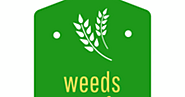 Weeds Leaf - United States | about.me