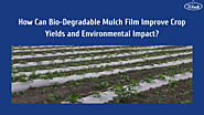 How Can Bio-Degradable Mulch Film Improve Crop Yields and Environmental Impact? - Tilak Polypack