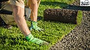 Enhancing Outdoor Spaces with Commercial Turf