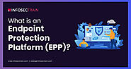 What is an Endpoint Protection Platform (EPP)?