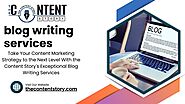 Take Your Content Marketing Strategy to the Next Level With the Content Story's Exceptional Blog Writing Services