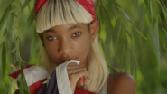 Melodic Chaotic's "Summer Fling": Watch The Debut Video By Willow Smith's New Project