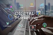 Digital Marketing Academy In Fatehabad