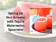 Spicing Up Your Summer with Tequila Watermelon Spearmint