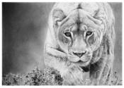 Images of the World - Hyper Realistic Pencil Drawings by Italian Artist Franco Clun.