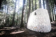 World's First 3D Printed Architectural Structure