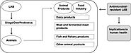 Foods | Free Full-Text | Role of Exposure to Lactic Acid Bacteria from Foods of Animal Origin in Human Health