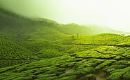 Kerala Travel Packages