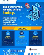 Build Your Dream Website With Codevelop_us