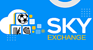 How to Get the Most Out of Money and Cash-Earning Games on Sky Exchange? - NSFAS Application