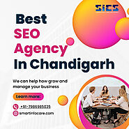 How Can Smartinfo Care Solutions Elevate Your Business as the Best SEO Agency in Chandigarh?