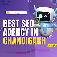 Can Smartinfo Care Solutions Help Your Business Grow as the Best SEO Agency in Chandigarh?