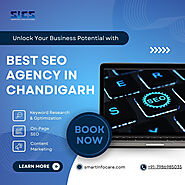 Why Choose the Best SEO Agency in Chandigarh for Your Business Growth?