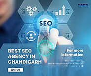 How Does the Best SEO Agency in Chandigarh Ensure Results?