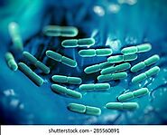 Characteristics of Lactic acid bacteria (LAB)