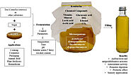 Role Of Fermenting Organisms