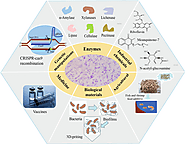 Bacillus subtilis: a universal cell factory for industry, agriculture, biomaterials and medicine | Microbial Cell Fac...