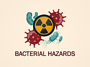 Risks or Harzards Associated to Bacillus subtilis?