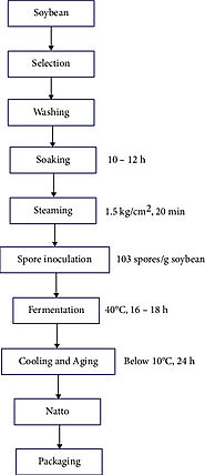 Food Technology and Mechanism of Natto Production