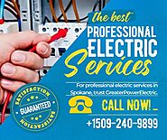 Professional Electric Services