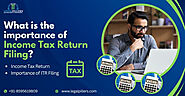 What is the Importance of Income Tax Return Filing Online?