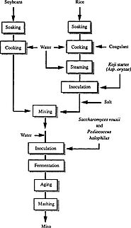 Use of Food Technology in the Preparation of Miso