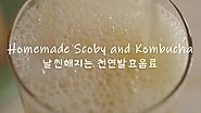 How to Make Kombucha & Scoby - Easy Homemade Scoby & Kombucha - Easy Fermentation