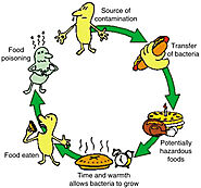 Foodborne risks of Kinema