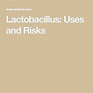 Lactobacillus: Uses and Risks