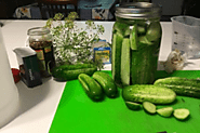 Food technology is used to prepare this fermented food pickled cucumber.