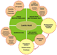 Important characteristics of the bacterium, what makes it so special?