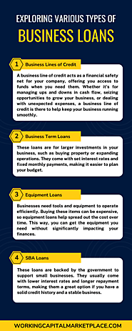 Exploring Various Types of Business Loans